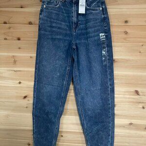 American Eagle High Waisted Straight Leg Distressed